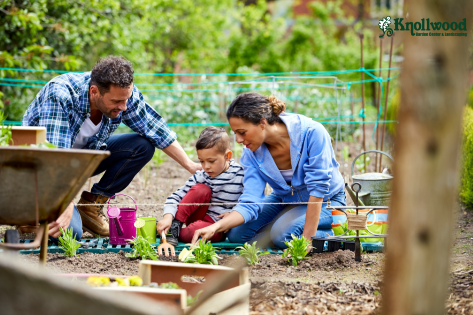 Family of 3 gardening